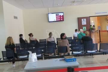 Una alumna del Colegio Hilda Zudán (Telde) gana el concurso escolar de dibujos de invertebrados/TA.